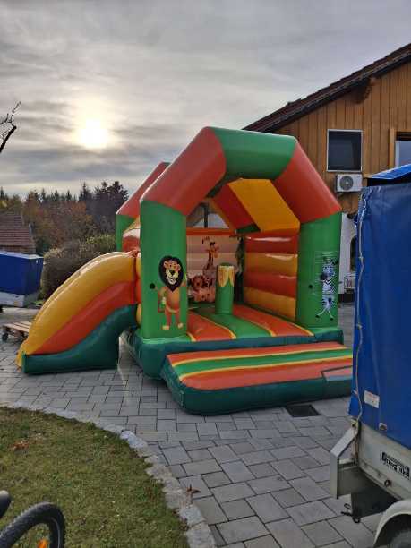 Gasbräter für Spanferkel